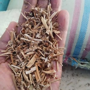Kangkung Kering Berkualitas